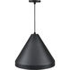 R Series 1 Light 17 inch Satin Black Indoor Pendant Ceiling Light
